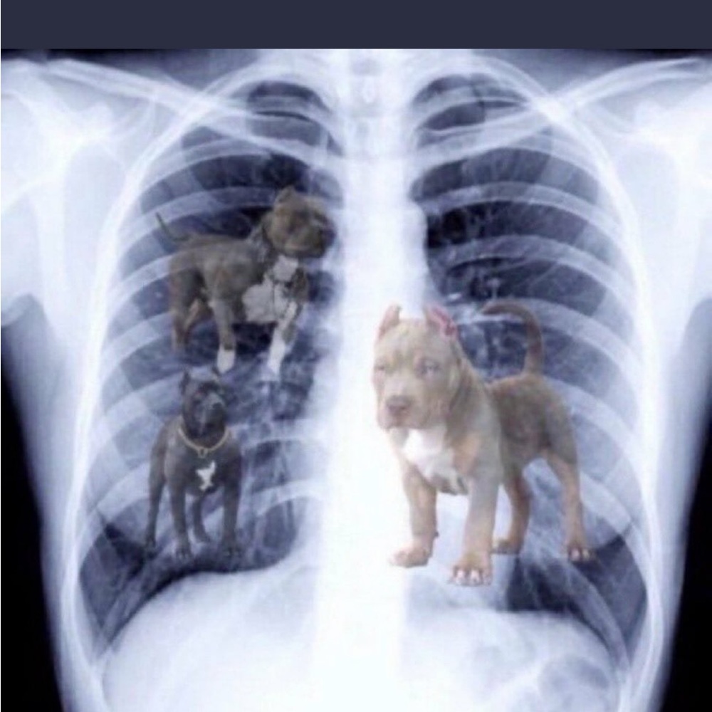 Meet your Posher, Scoop